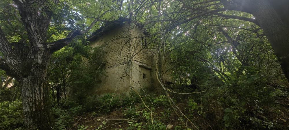 Къща с голям двор 3200 кв.м и река с. Новосел, обл. Шумен