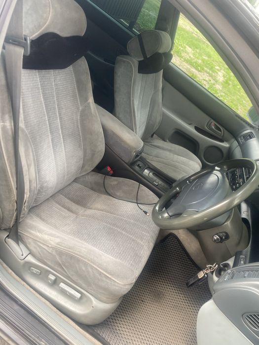 Продам аристочку