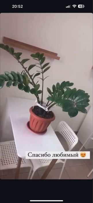 Стол маникюрный