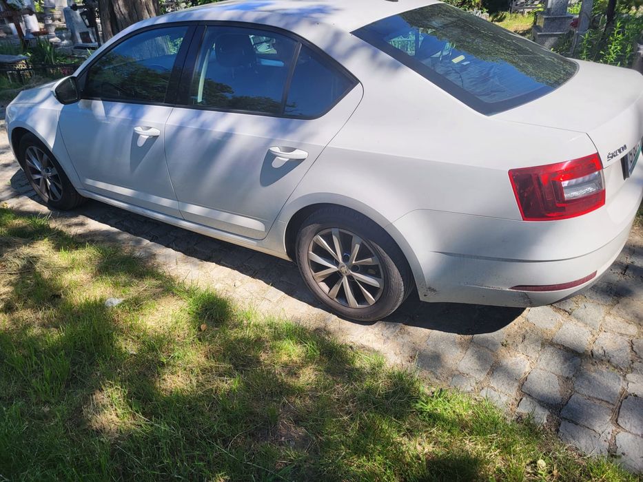 SKODA 100 2018 — imagine 2