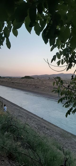 Дача сотилади товоксой