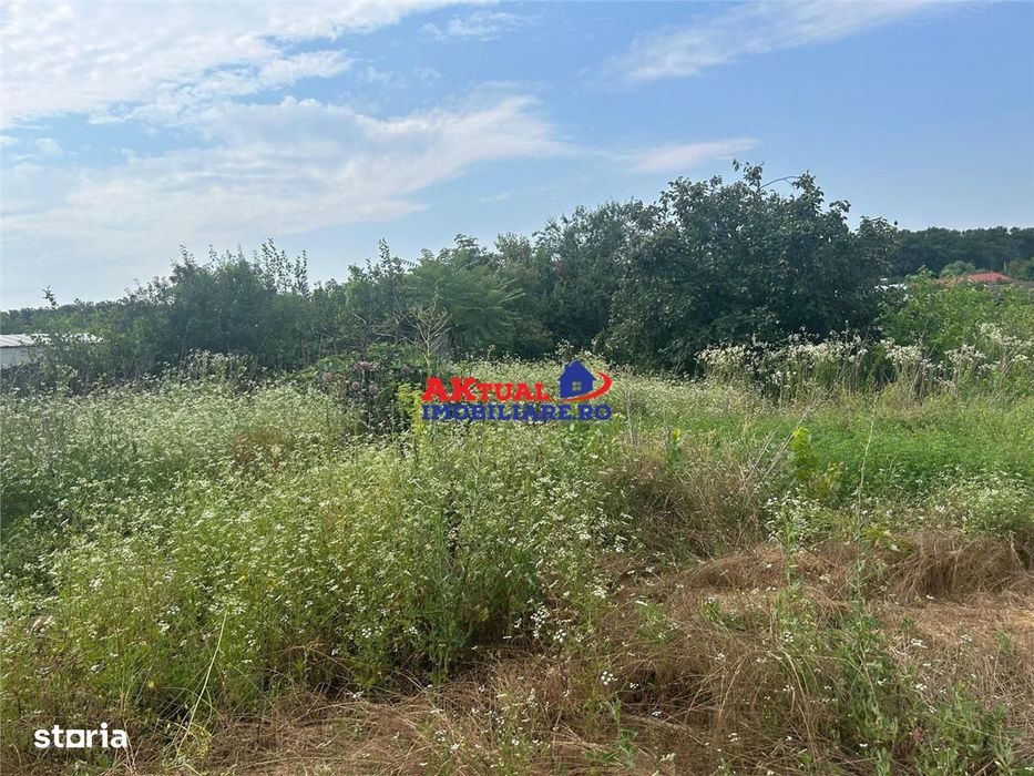 Vanzare Teren 650mp in Com.Mihai Bravu-Giurgiu