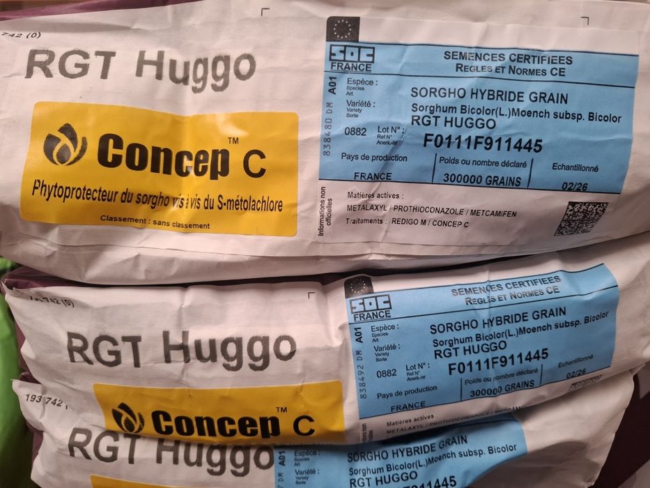 Samanta sorg rosu RAGT