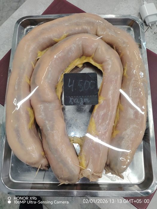 Продаю шужык казы