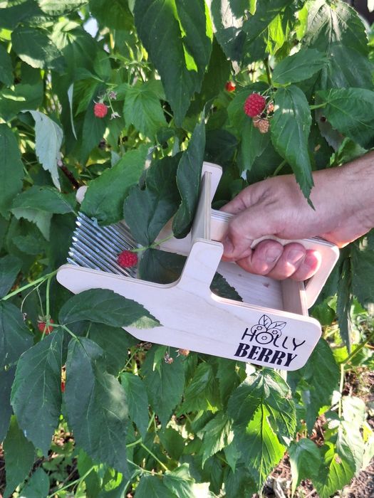 Берачка за лайка, боровинки, шипки,  и други дребни плодове