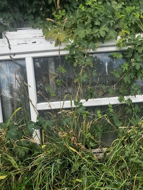 Пластиковые окна(стеклопакеты) Б/У