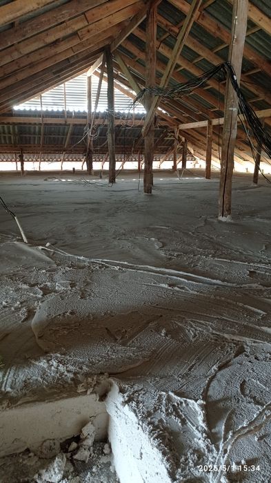 Pena lomboz(tomga pena quyish) xizmati