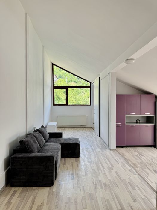 Apartament open-space tip loft , Grigorescu, pet-friendly