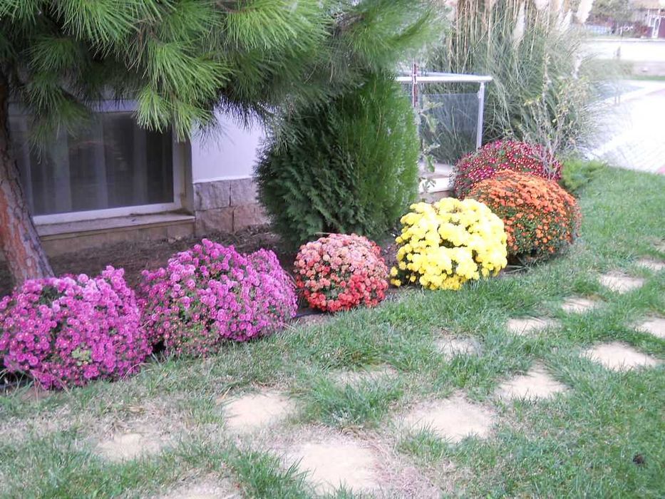 Тристаен апартамент 131 кв.м. Свети Влас под наем