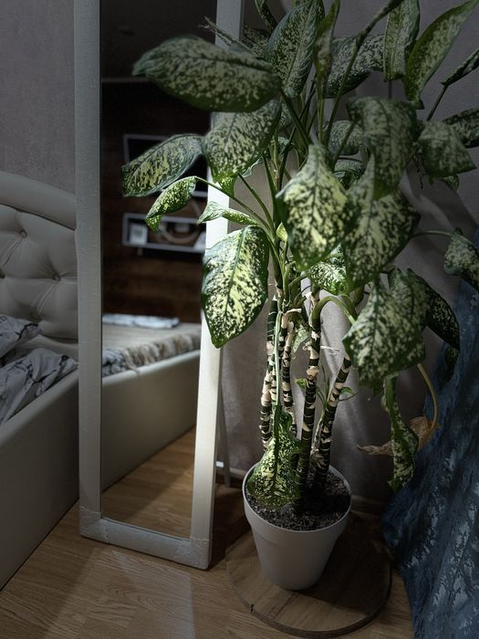 Квартира посуточно