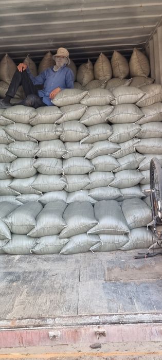 Апилка аапилкааааа