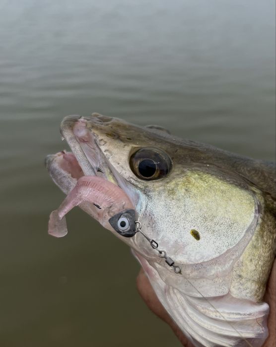 Силиконови примамки Blood Minnow