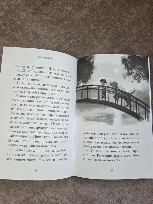 Книга Хранитель Пэнхеллоу, Холли Вебб