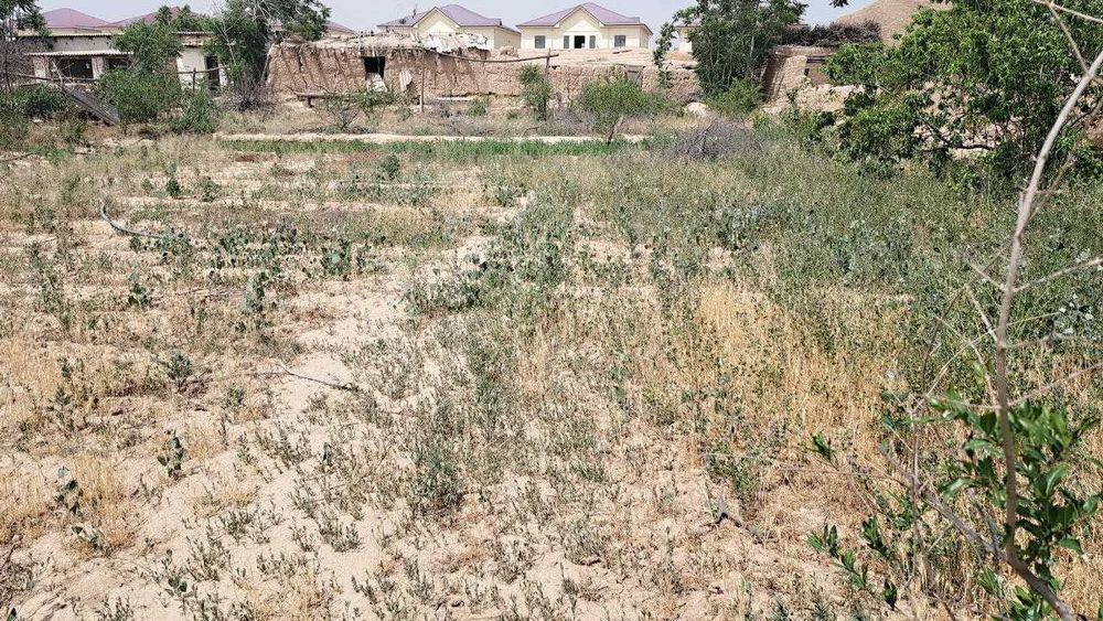 Bo'sh turgan 8 sotox tomorqa sotiladi