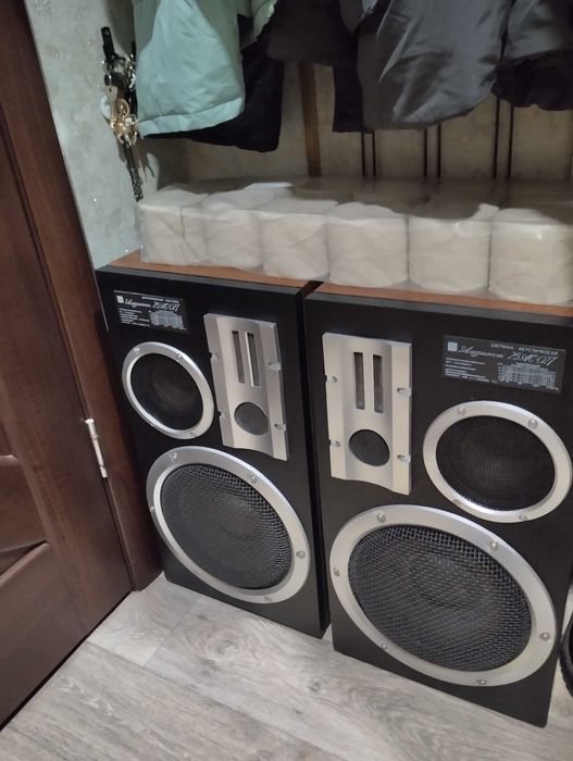 Колонки Амфитон 25 АС - 027