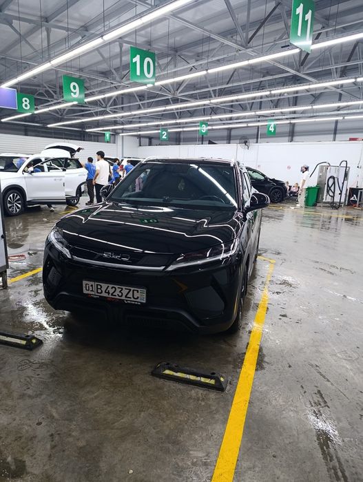 Byd yuan up 2025