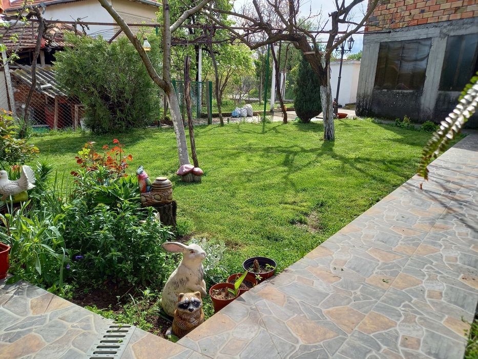 Косене ,почистване и поддържане на дворове ,лозя,ливади ,райгас