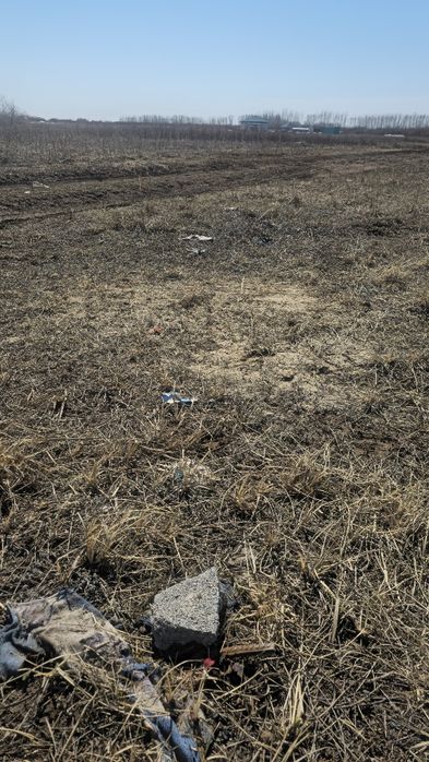 Мектепке жакын жер телімі