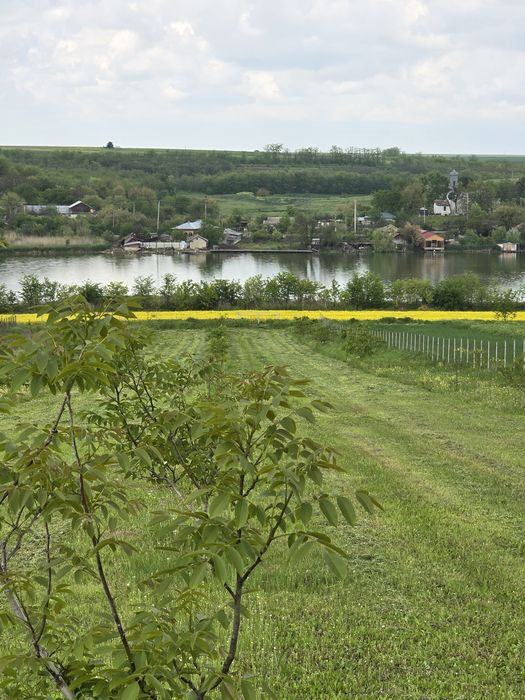 Vand casa la balta si 5000 metri patrati cu livada de 110 nuci