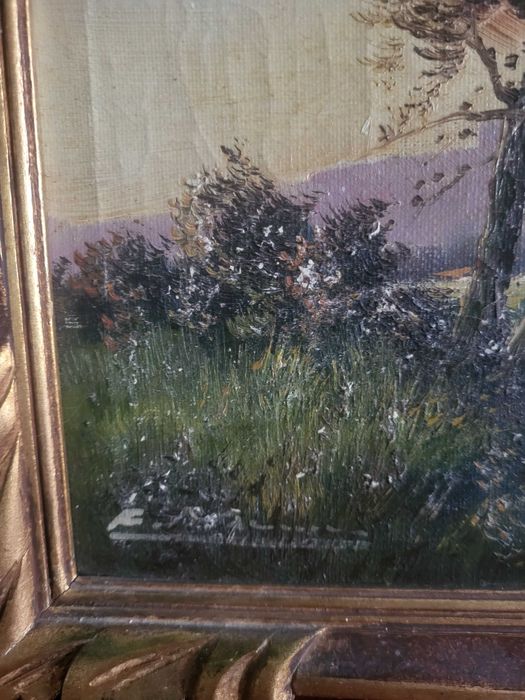 Tablou pictat în ulei, autor necunoscut