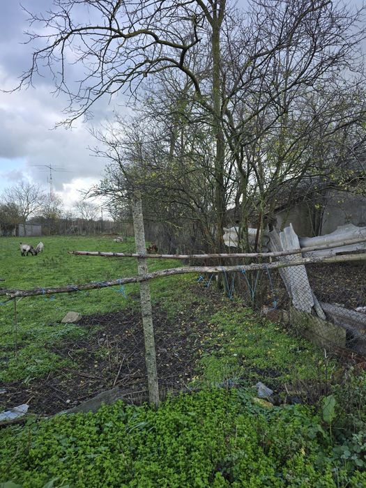 Teren  intravilan  Baraganu  Constanta