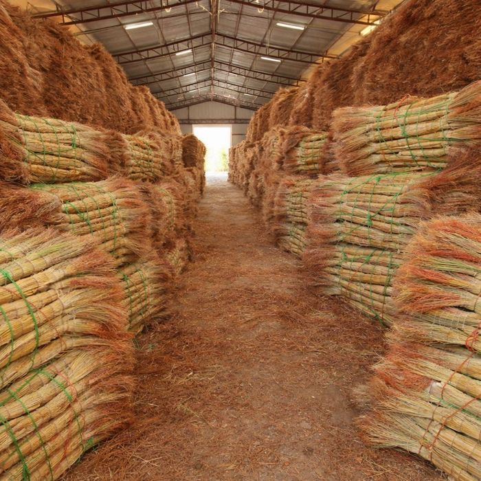 Supurgilar Optom va dona