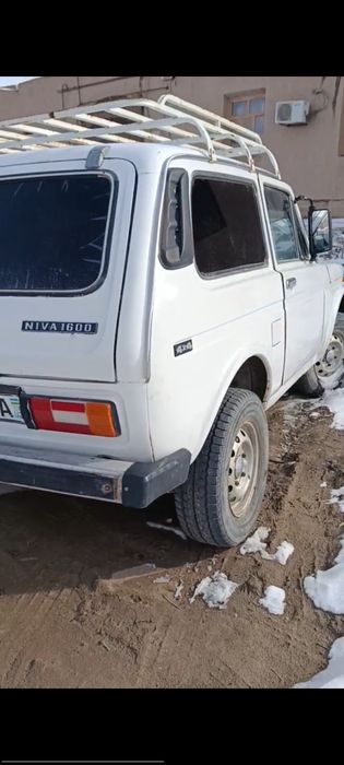 Niva 78 yil sotiladi