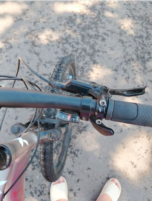 Bicicleta xfact camino