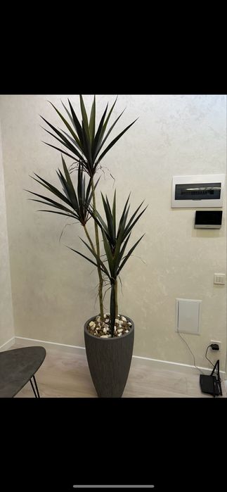 Искуственные цветы кашпо