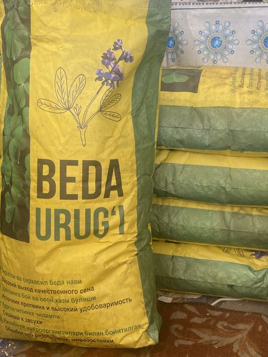 Beda urugi toshkent N1