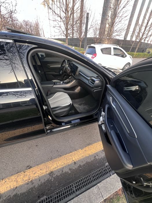 Byd chazor dm-i Luxe