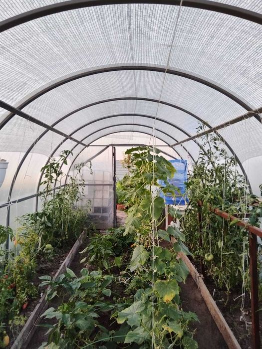 Продается Дом в Дружбе