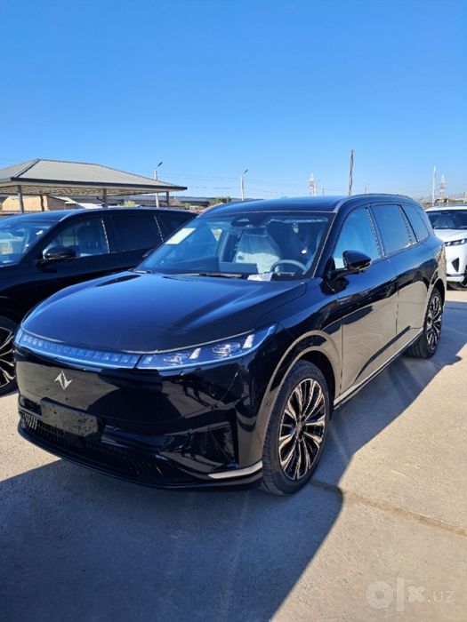 Dongfeng 008 elector