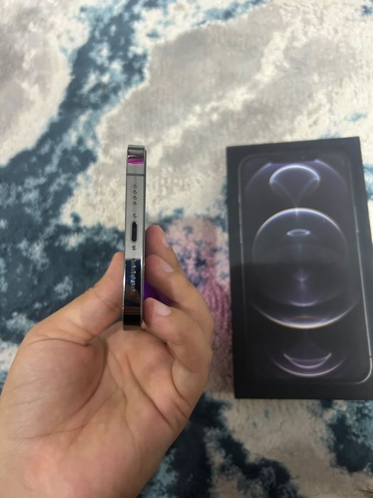 iPhone 12 pro max