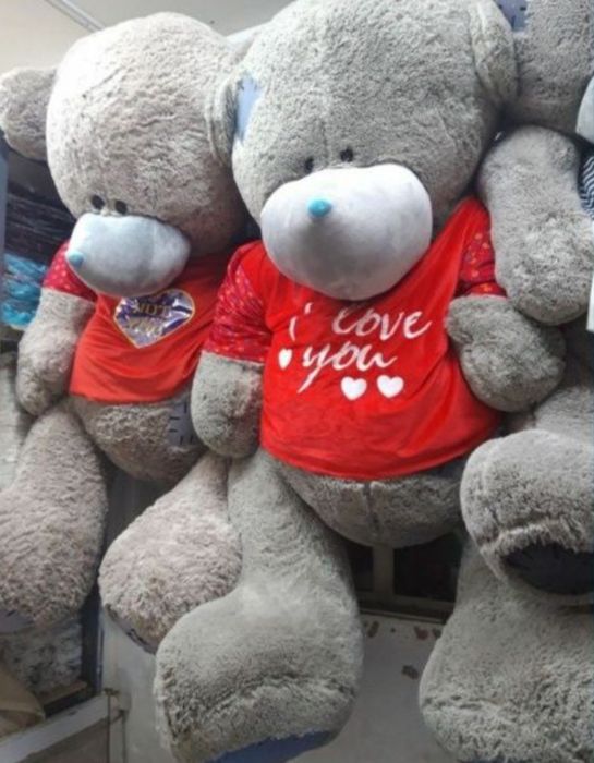 Teddy teddi ayiqcha donaga