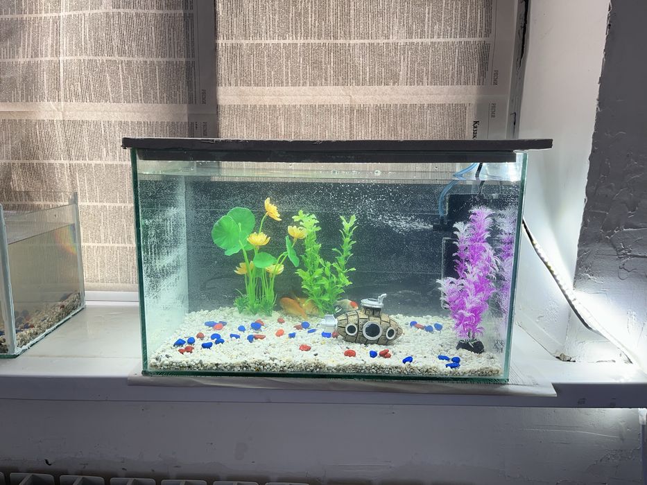 Продам готовый аквариум 45л, всё в комплекте