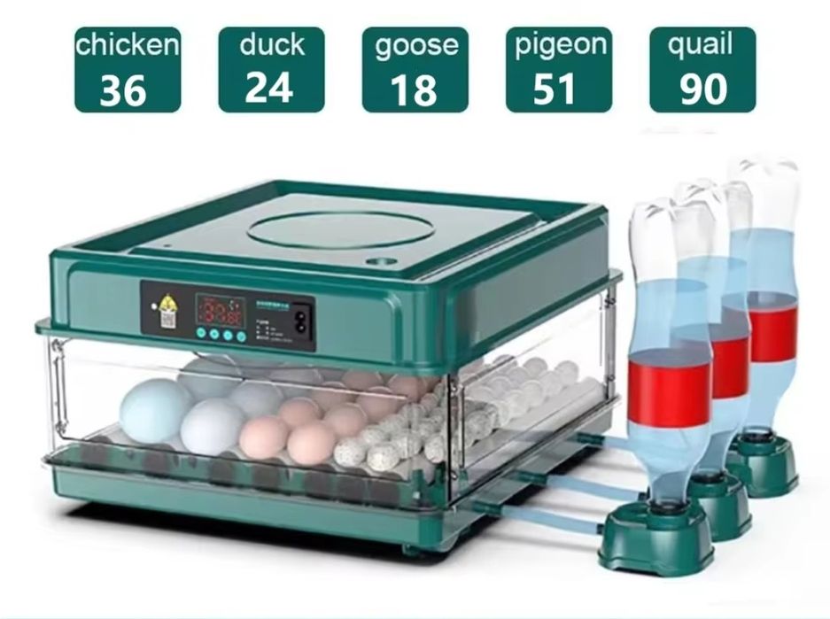 Incubator automat oua