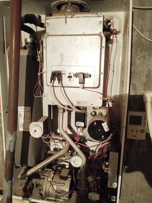 Катйол Роял Хороший