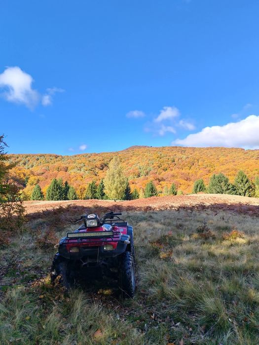 Honda Foreman TRX 450