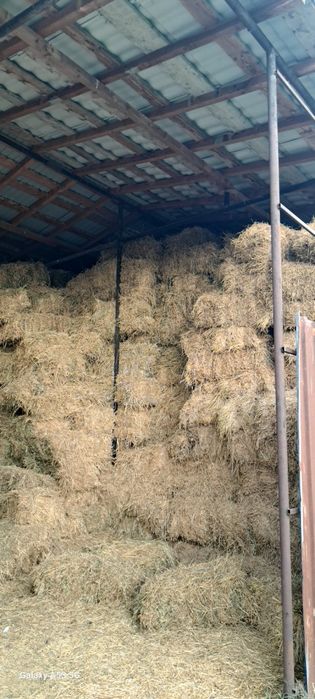 Vand Baloti Lucerna coasa 1 si coasa 2