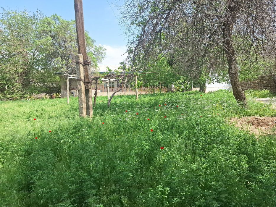 Boysun shaharda uy sotiladi