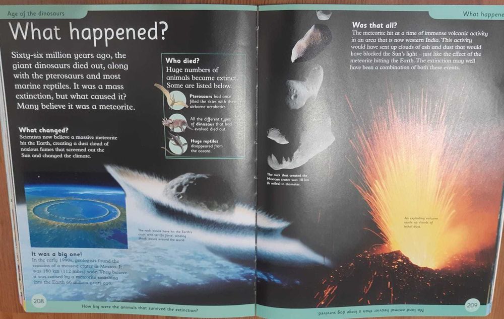 Книга DK: First Children's Encyclopedia