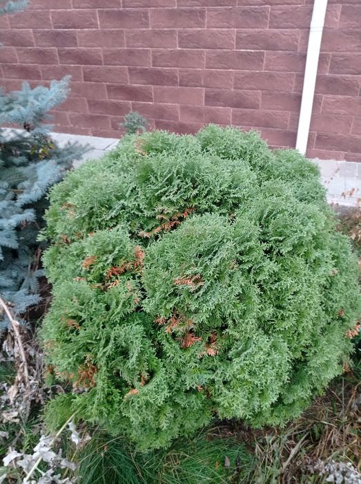 Продам земельный участок