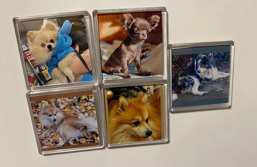 Магнит със снимка на любимец любим човек подарък куче рожден ден