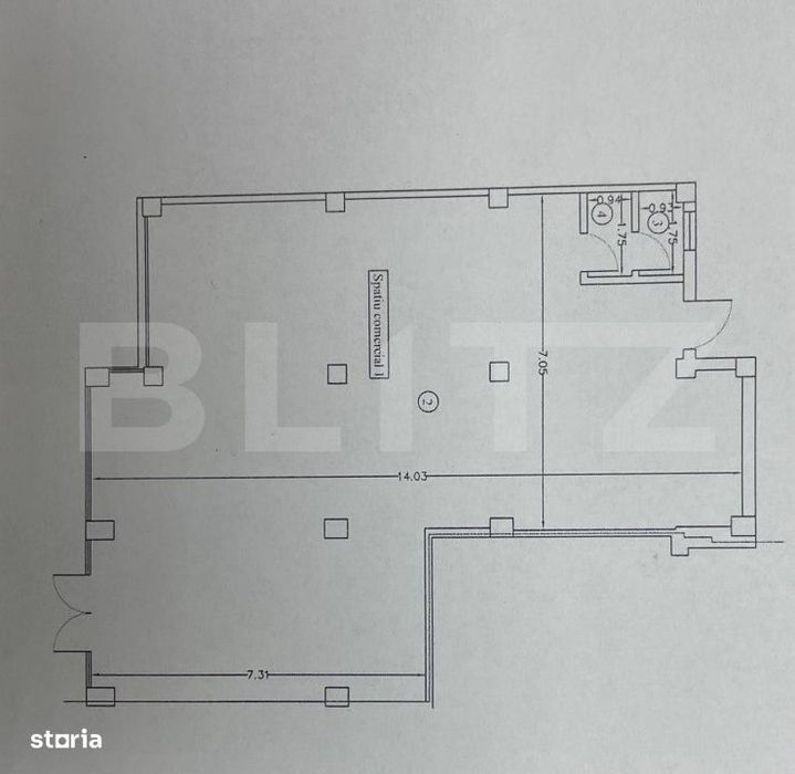 Spatiu comercial, 252.70 mp, zona Centru
