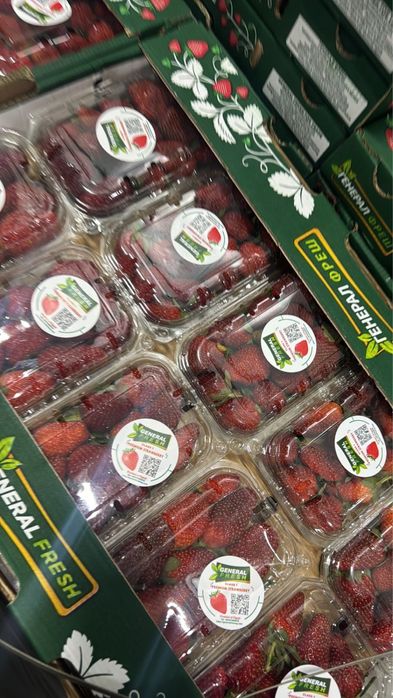 Клубника для ( шоколада Египет )