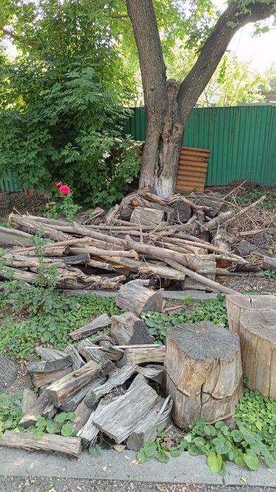 Продам дрова. Для шашлыка.