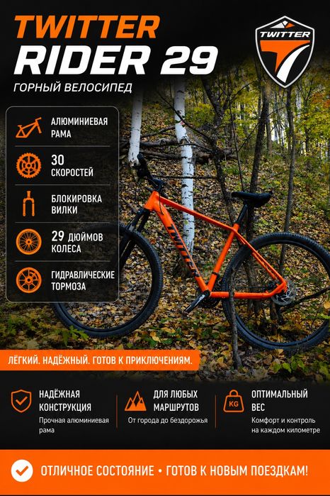 Срочно Продам twitter rider 29