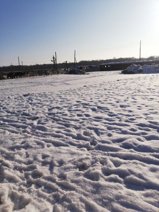 Продам фермерское хозяйство.