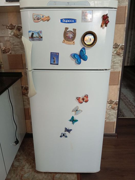 Холодильник Бирюса